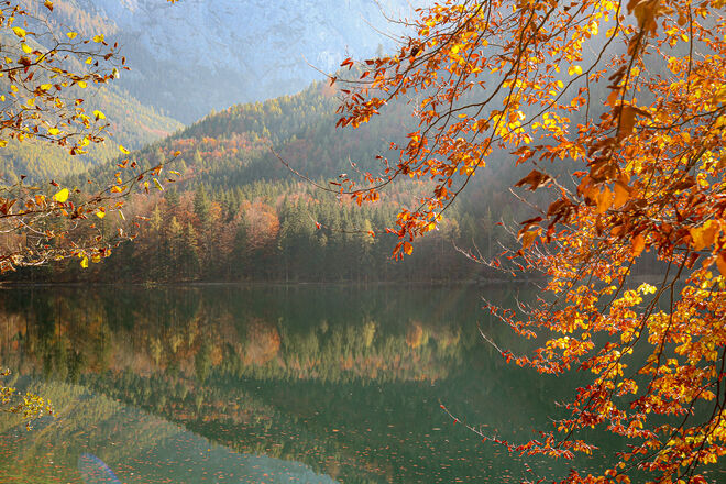 Buntes Herbstlaub taucht die Landschaft in warme Farben...