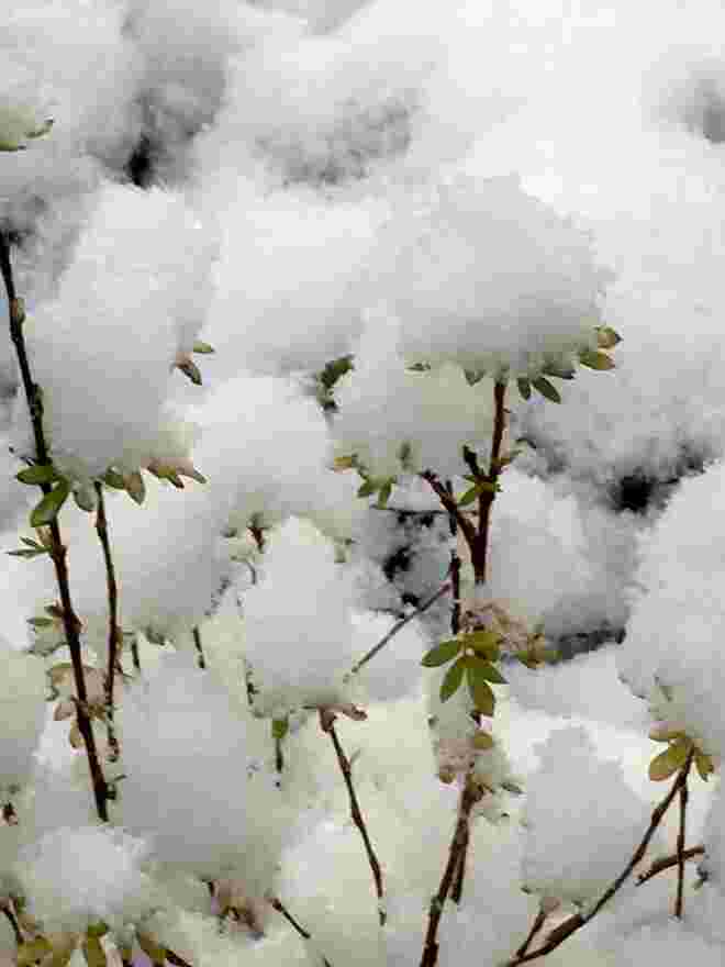 heute der erste Schnee