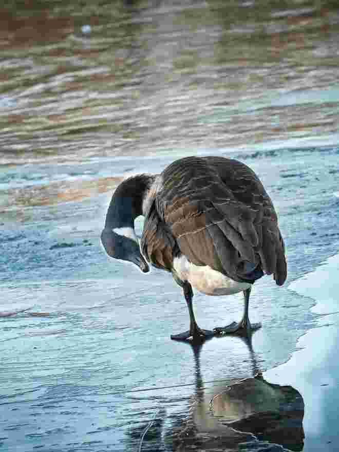 Walking on thin ice.