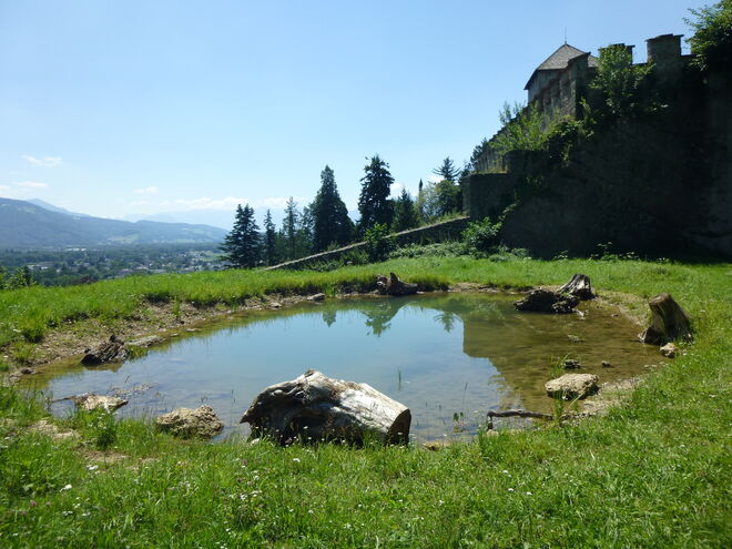 Idyll auf dem Mönchsberg