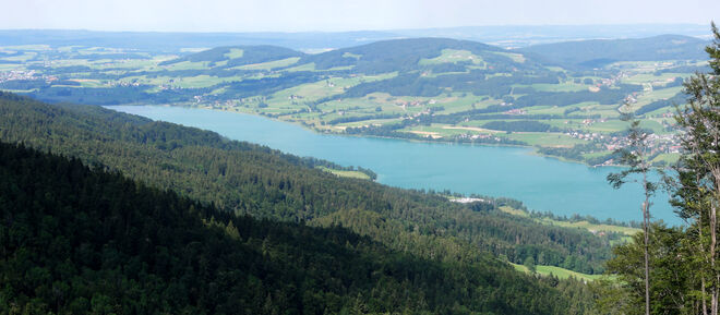 Kolomansberg wurde Aussichtsberg