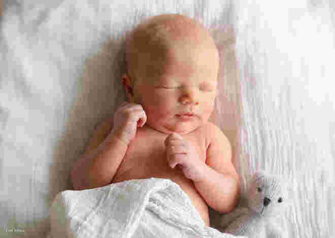 Jakob