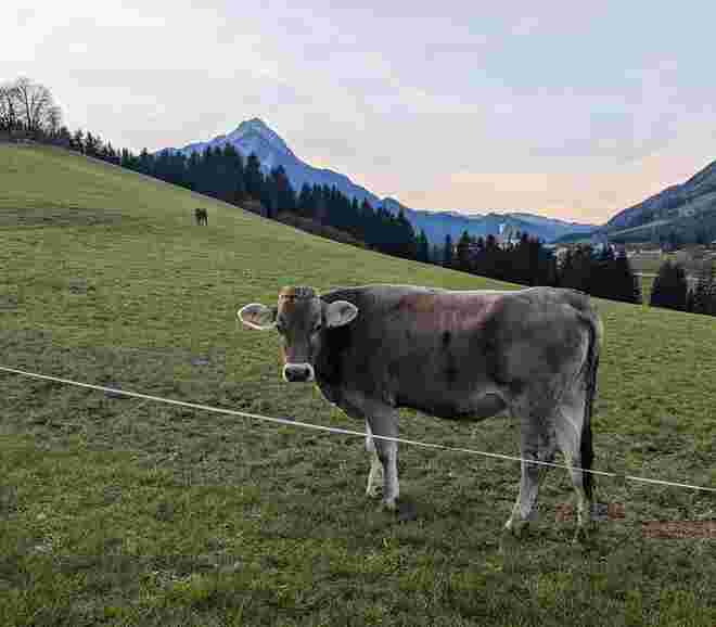 . . . noch neugierig . . . 