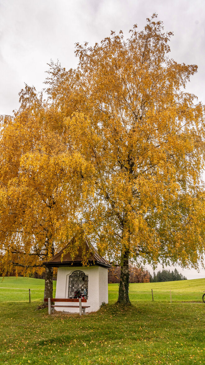Kapelle bei den Egls.Mattsee