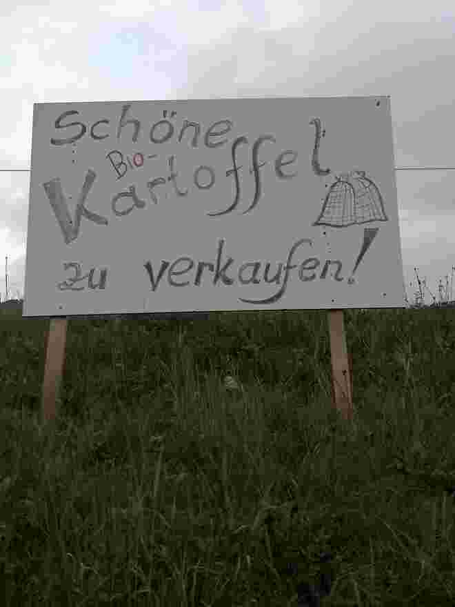 Eine neue SCHÖNE Kartoffelsorte nur im Lungau