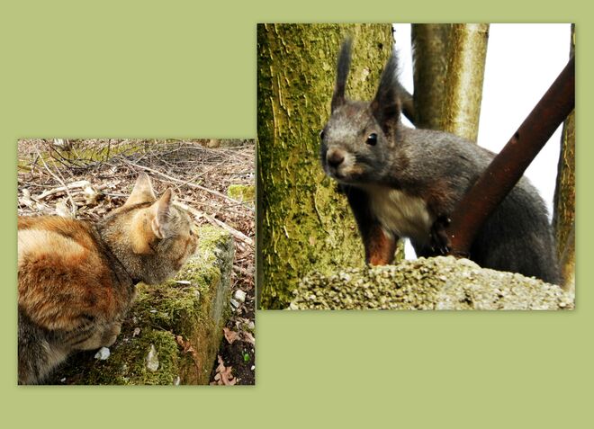 Gegenseitiges Beobachten