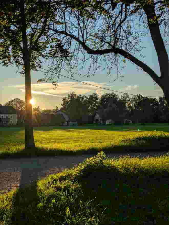 . . . an der Allee . . . 