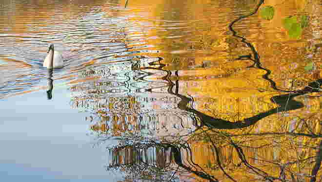 " IM HERBSTWASSER "