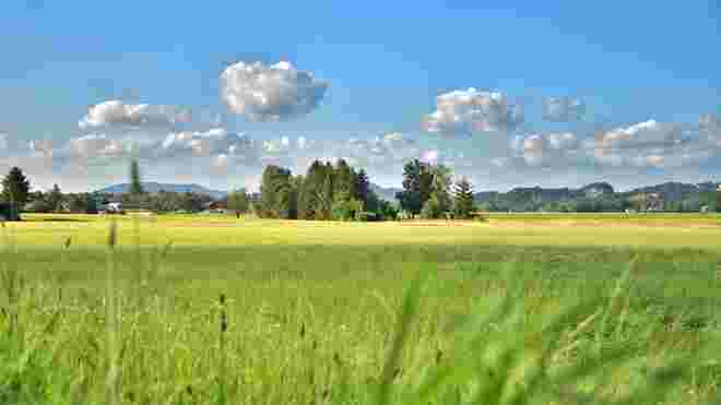 Landschaftsimpression ...