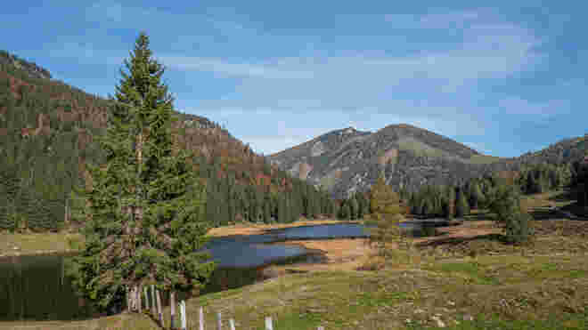 Seewaldsee im Herbst