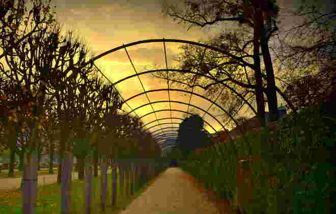 "LAUBENGANG"