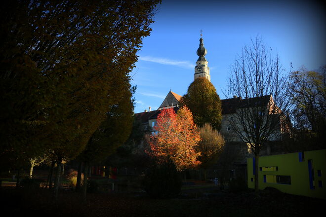 "LETZTES HERBSTLEUCHTEN"
