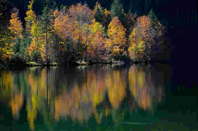 Herbstfarben am See
