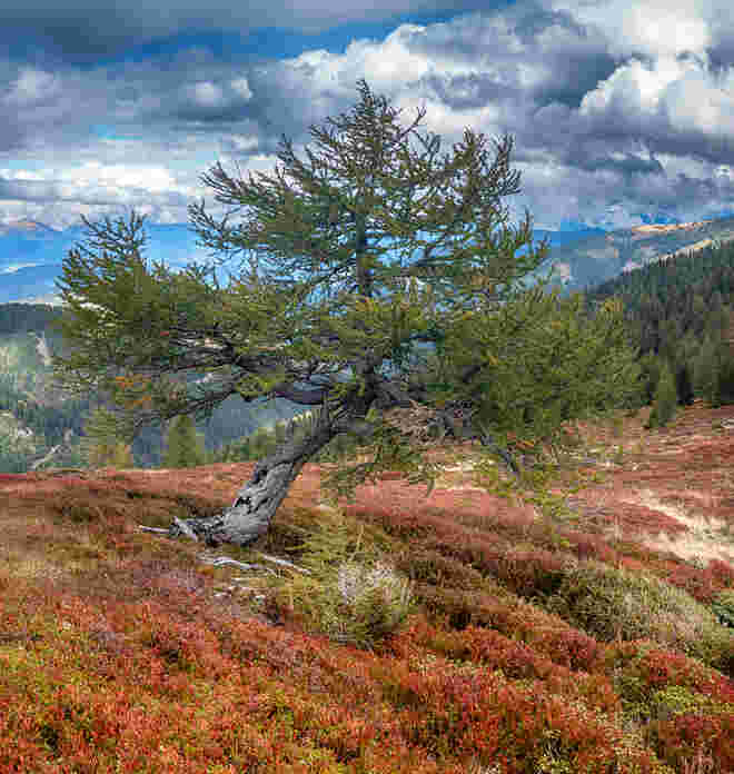 Der Herbst im bunten Festkleid