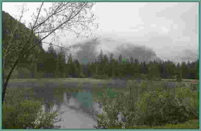 Melancholie am Weiher