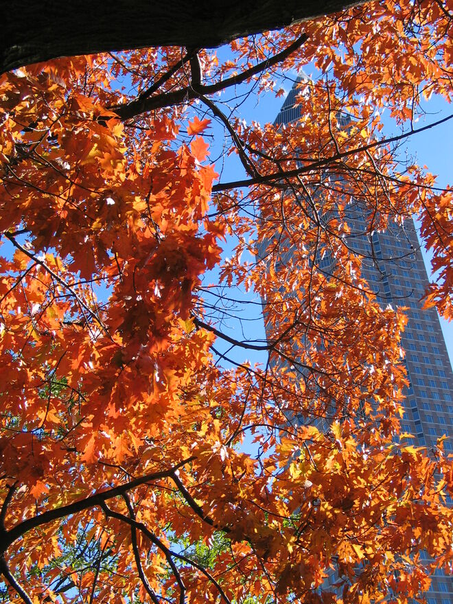 So sieht es bald wieder aus