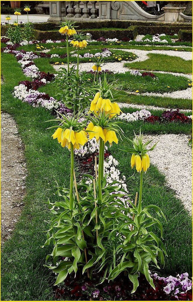 . . .  überragend und schmuckvoll