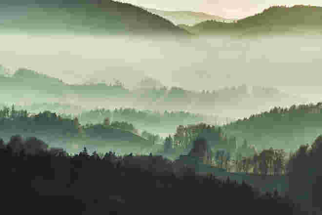 Morgennebel