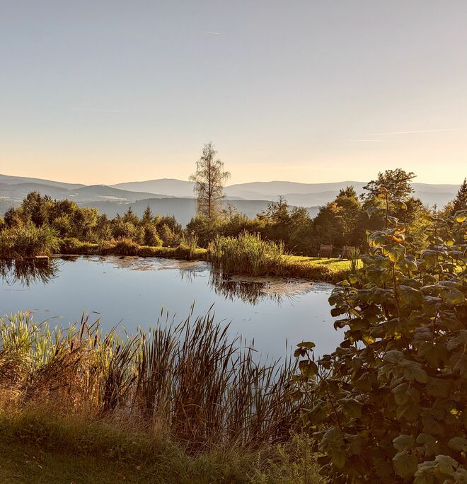 . . . Morgensonne . . . 