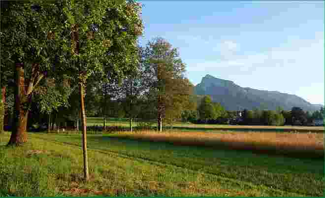 Die Morzger goldene Kirchturmspitze