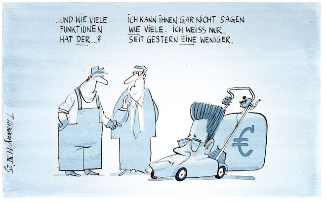 Multifunktionsrasenmahrer ...