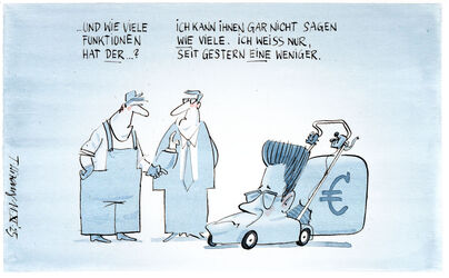 Multifunktionsrasenmahrer ...