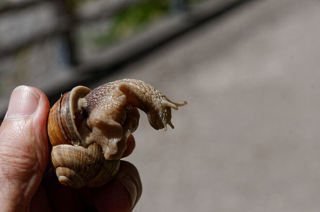 He, lass mich runter!