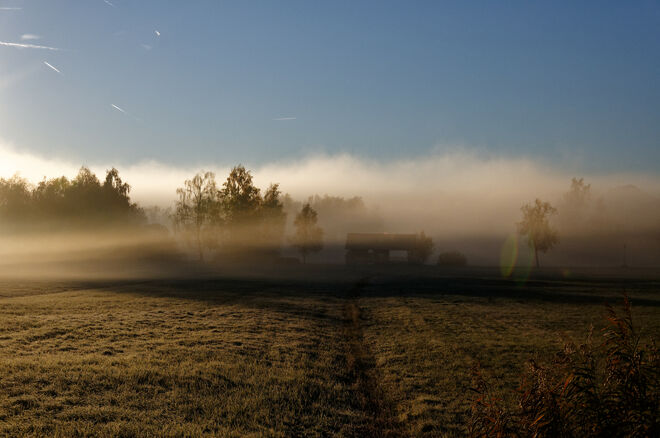 Morgenstimmung am Wallersee