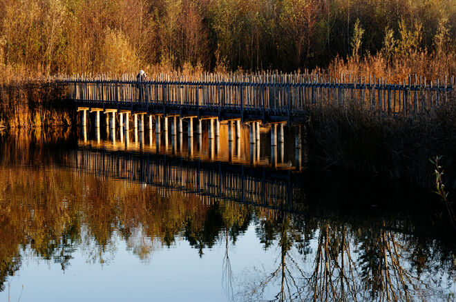 Die Farbe des Herbstes