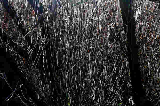 frostiger Durchblick