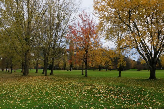 Spätherbst am Golfplatz