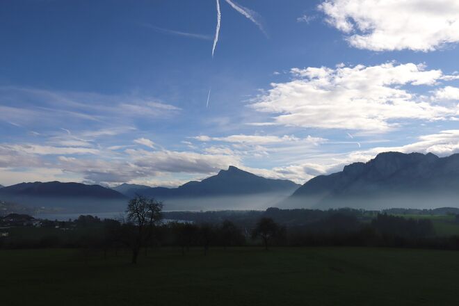 Nebelschleier in der Mittagssonne