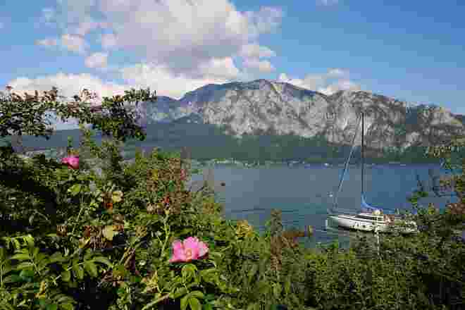 Frühsommer am Attersee