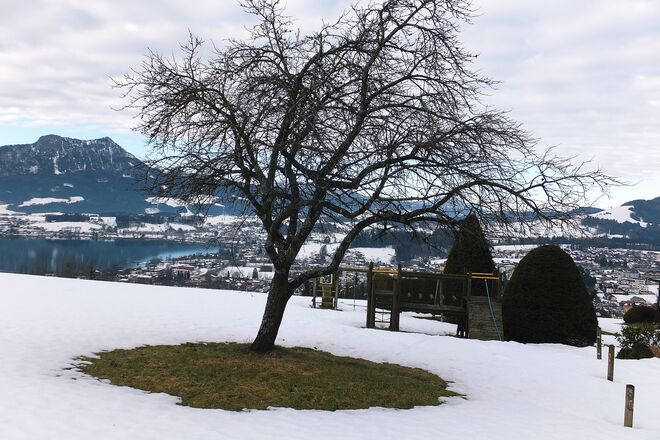 Grüne Vorfrühlingsinsel