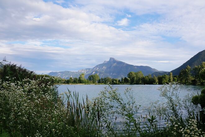 Die Sonne meldet sich zurück...