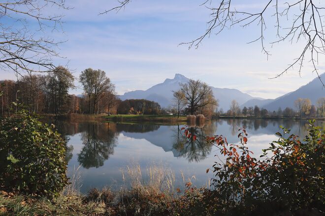 Im milden Novemberlicht