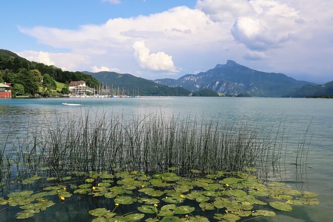 Mondsee zur Sommersonnenwende