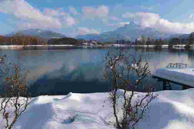 Winter am Golfplatz