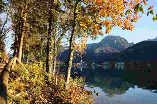 Herbst am Wolfgangsee