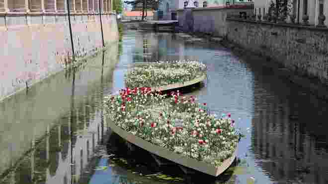Blumen im Wassergraben