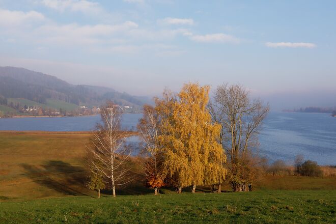 Spätherbst am Irrsee