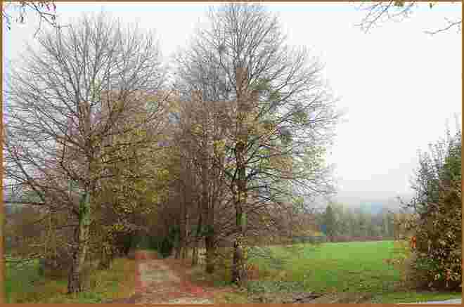 . . .  ein Ringen zwischen Nebel und Sonne . . .