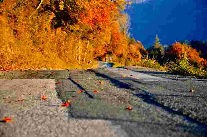Goldherbst