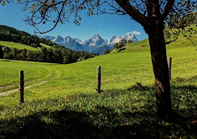 . . . ein Obstgarten mit Aussicht . . .