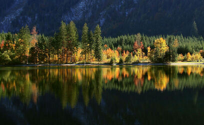 Herbstflammen am See