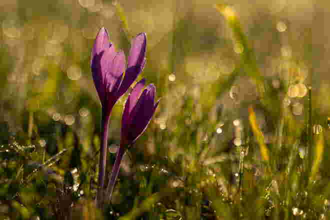 Herbstzeit....