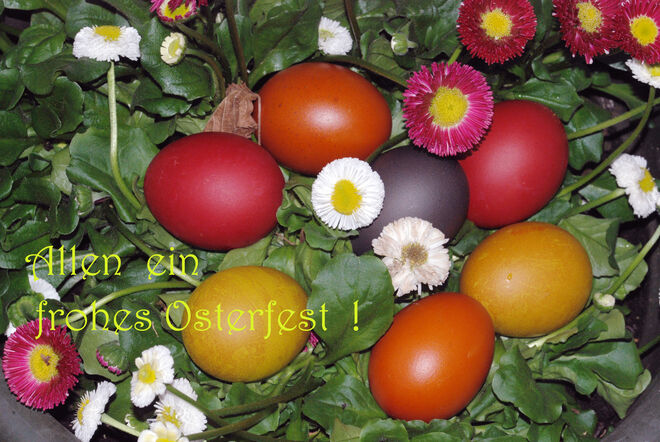 Osterwünsche