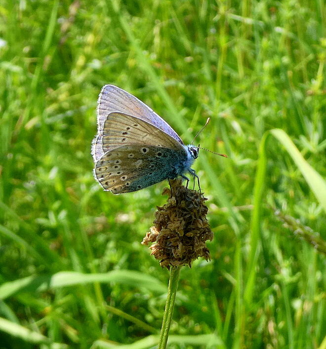 endlich kommen sie..