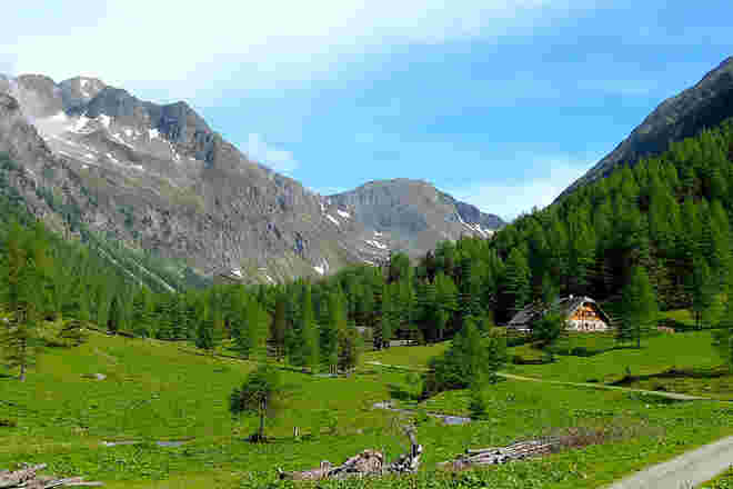 Lignitzalmen