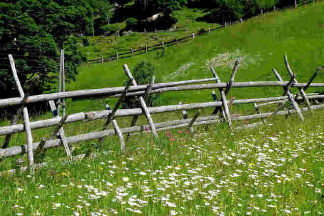 Am alten Kreuzzaun